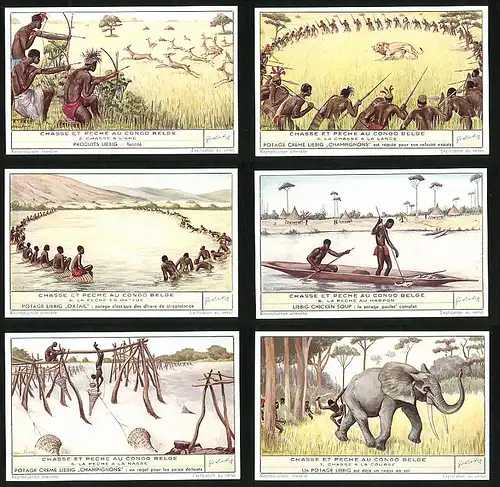 6 Sammelbilder Liebig, Serie Nr. 1534: Chasse et peche au Congo Belge, Fischerei, Elefant, Löwe, Afrika