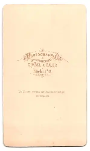 Fotografie Gimbel & Bauer, Höchst a /M., Portrait bürgerlicher Herr im Anzug mit Backenbart