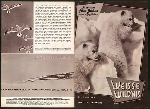Filmprogramm IFB Nr. 4866, Weisse Wildnis, Regie: James Algar, Dokumentarfilm, Eisbär