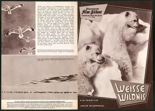 Filmprogramm IFB Nr. 4866, Weisse Wildnis, Regie: James Algar, Dokumentarfilm, Eisbär