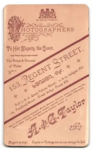 Fotografie A. & G. Taylor, London, Regent Street 153, Portrait Mann im Anzug mit karierter Krawatte