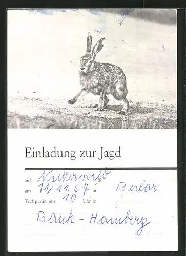 AK Einladung zur Jagd 1967, Hase auf freier Flur