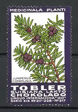 Reklamemarke Tobler Suisiana Lakto Chokolado, Medicinala Planti, Juniperus Communis