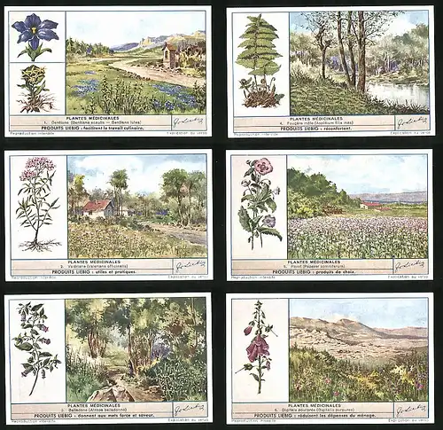 6 Sammelbilder Liebig, Serie Nr. 1451: Plantes Médicinales, Digitale Pourprée, Belladone, Pavot, Valériane, Gentiane