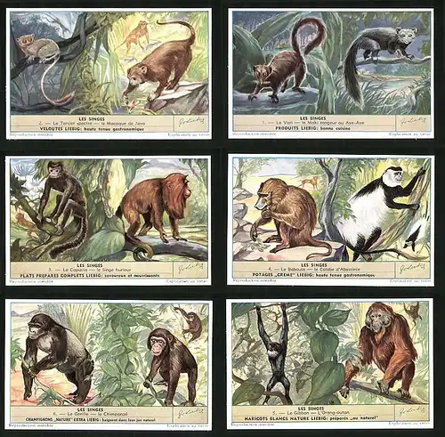 6 Sammelbilder Liebig, Serie Nr. 1604: Les Singes, Orang-Utan, Gibbon, Kapuzineräffchen, Gorilla