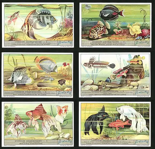 6 Sammelbilder Liebig, Serie Nr. 1339: Uitheemsche Aquariumvisschen, Goldfisch, Zierfische