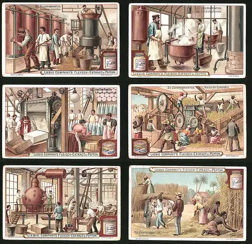 6 Sammelbilder Liebig, Serie Nr. 654: Die Zuckerfabrikation, Zuckerrohr, Ernte, Fabrik, Raffinade