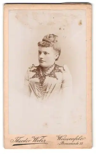 Fotografie Theodor Weber, Weissenfels, Promenade 33, Portrait hübsche junge Dame mit Dutt