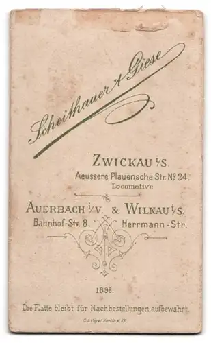 Fotografie Scheithauer & Giese, Zwickau, Äussere Plauenschestr. 24, Portrait Herr mit Schnauzbart wohl gekleidet