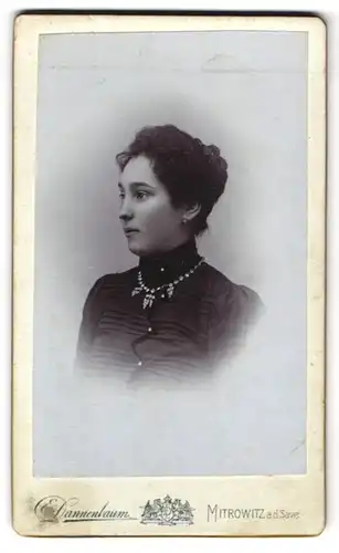 Fotografie E. Dannenbaum, Mitrowitz / Save, Portrait junge Brünette Dame mit Ohrringen & Collier