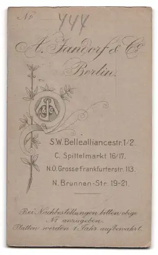 Fotografie A. Jandorf & Co., Berlin, Bellealliancestr. 1-2, Portrait Dame mit Halsketten im festlichen weissen Kleid