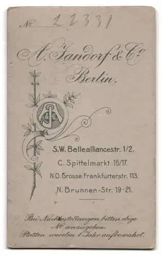 Fotografie A. Jandorf & Co., Berlin, Bellealliancestr. 1-2, Knabe wohl gekleidet im Foto-Atelier