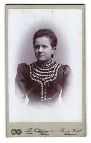 Fotografie Th. Nachtwey, Greiz i. V., Webergasse 24, Portrait junge brünette Dame im modischen Kleid