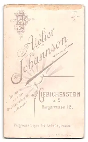 Fotografie Atelier Johannson, Giebichenstein a. S., Burgstr. 18, Portrait Mädchen im schwarzen Kleid mit Puffärmeln