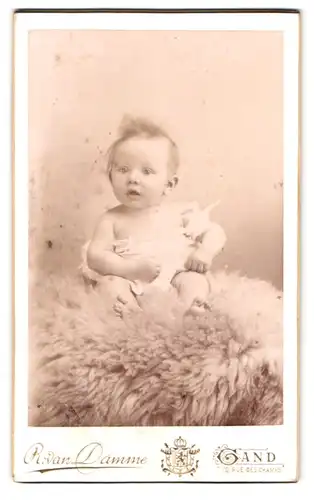 Fotografie R. van Damme, Gand, 10 Rue Des Champs, niedliches Baby auf Felldecke sitzend