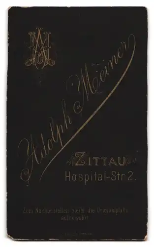 Fotografie Adolph Meiner, Zittau, Hospital-Str. 2, Portrait Kleinkind im Kleid mit Spitzenkragen