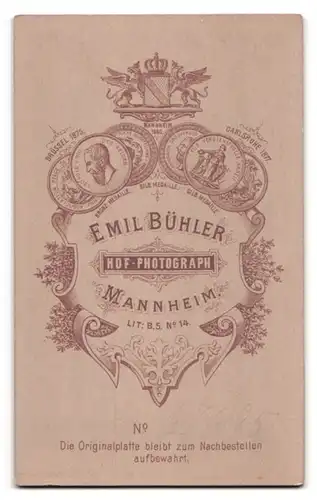 Fotografie Emil Bühler, Mannheim, Lit. B. 5 Nr. 14, Portrait Dame im Kleid mit Hochsteckfrisur