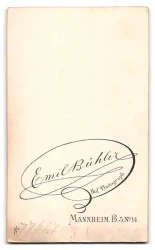 Fotografie Emil Bühler, Mannheim, B. 5. Nr. 14, Portrait junge Frau im Biedermeierkleid mit Brosche