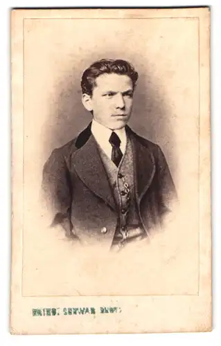Fotografie Fotograf und Ort unbekannt, Portrait Herr im Anzug mit Schlips