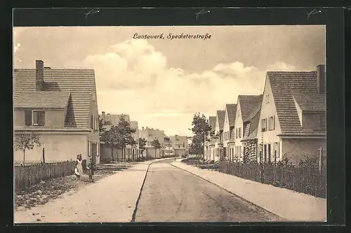 AK Lautawerk, Specketerstrasse mit Häuser