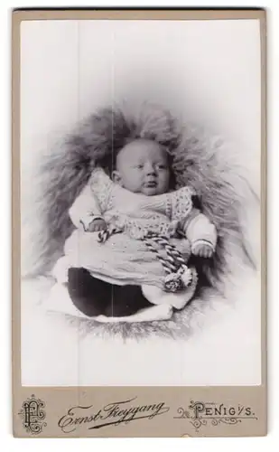 Fotografie Ernst Freygang, Penig i. S., Brückenstrasse, Niedlicher Säugling auf einem Fell