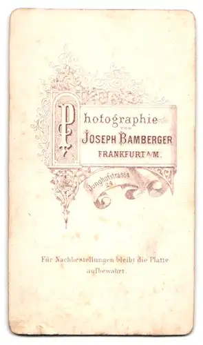Fotografie J. Bamberger, Frankfurt am Main, Junghofstrasse 24, Portrait junger Mann mit locker gebundener Krawatte
