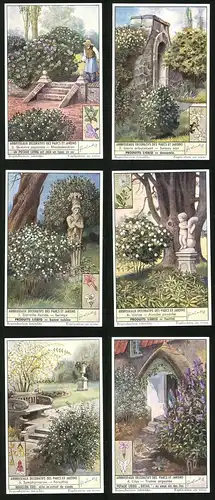6 Sammelbilder Liebig, Serie Nr. 1532: Arbrisseaux decoratifs des Parcs et Jardins, Lilas, Symphoricarpe, Forsythia