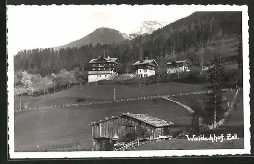 AK Zell am See, Gasthaus Waidachhof