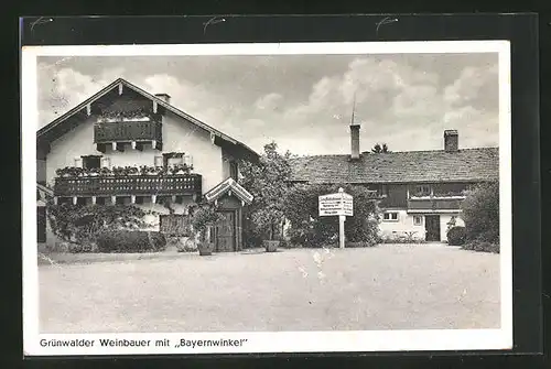 AK Grünwald i. Isartal, Grünwalder Weinbauer mit Gasthaus Bayernwinkel