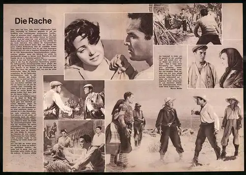 Filmprogramm PFP Nr. 87 /60, Die Rache, Carmen Sevilla, Raf Vallone, Jorge Mistral, Regie: Juan Antonio Bardem