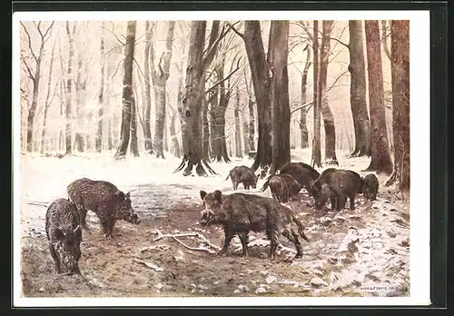 Künstler-AK Wildschweinrotte im winterlichen Wald