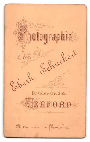 Fotografie E. Schuckert, Herford, Brüderstrasse 352, Brustportrait junger Herr im Anzug mit Fliege
