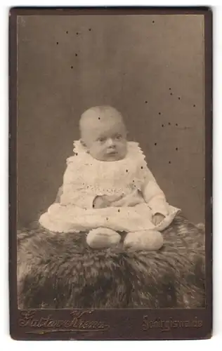 Fotografie Gustav Krenz, Schirgiswalde, Portrait süsses Baby in hübscher Kleidung