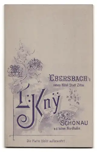 Fotografie L. Kny, Ebersbach i. S., Portrait junge Schönheit in gerüschter Bluse mit Brosche und Halskette