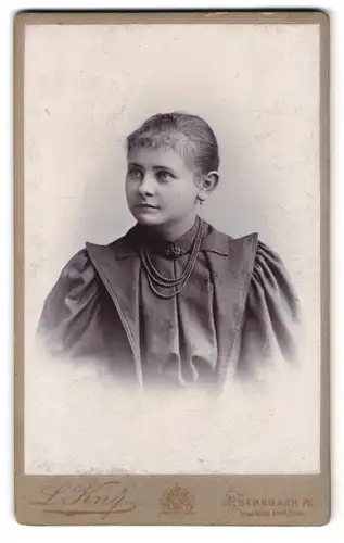 Fotografie L. Kny, Ebersbach i. S., Portrait hübsches Fräulein mit Brosche und Halskette am Kleiderkragen