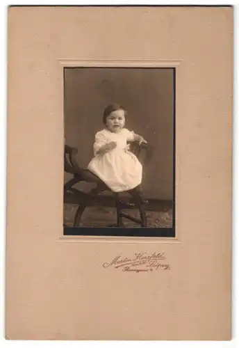 Fotografie Martin Herzfeld, Leipzig, Thornasgasse 4, Portrait Kleinkind im weissen Kleid auf einem Stuhl