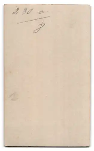 Fotografie Louis Frohwein, Basel, Freie Str. 45, Portrait Chevaulegers in Uniform Rgt. 2 mit Tschako