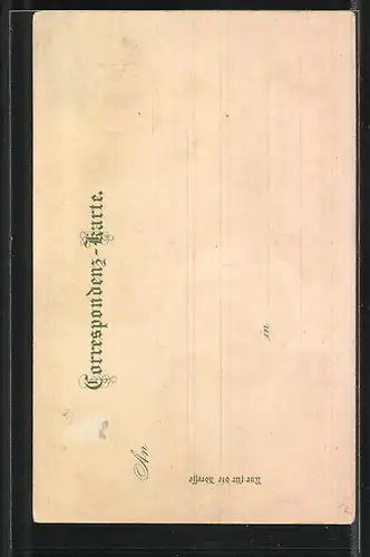 Lithographie Gries, Kurhaus und Rosengärten