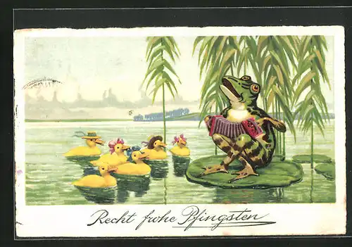 AK Frosch mit Ziehharmonika und Enten, Pfingstgruss, vermenschlichte Tiere
