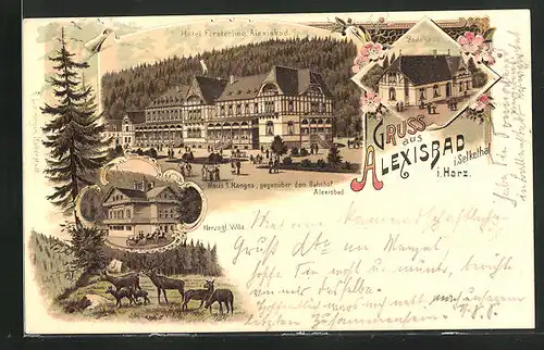Lithographie Alexisbad / Harz, Herzogl. Villa, Hotel Försterling, Badehaus