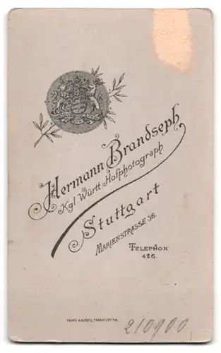 Fotografie H. Brandseph, Stuttgart, Marienstrasse 36, Portrait Herr im eleganten Anzug