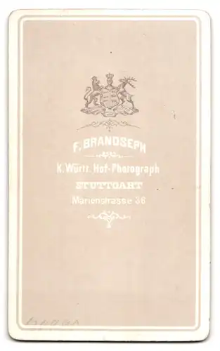 Fotografie H. Brandseph, Stuttgart, Marienstrasse 36, Portrait Edeldame mit geflochtenem Haar & Schmuck