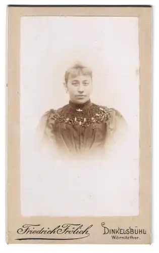 Fotografie Friedrich Frölich, Dinkelsbühl, bürgerliche Dame mit auffallender Halskette
