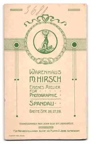 Fotografie M. Hirsch, Spandau, Breite Strasse 26 27 28, schöne junge Dame in höchstelegantem Kleid