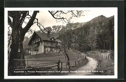 AK Edlach, Alpenhotel Knappenhof, Inhaber Hedwig Kronich