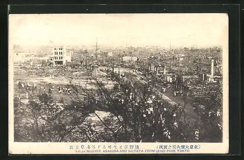 AK Tokyo, Look over Asakusa and Shitaya from Ueno Park after Earthquake, Erdbeben