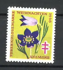 Reklamemarke Weihnachten 1966, Anti-Tuberkulose, Anemone