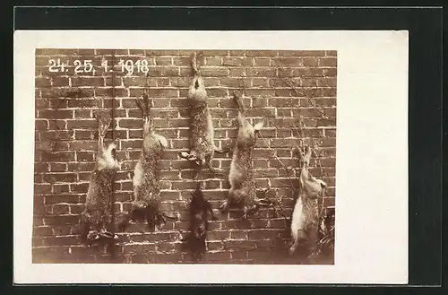 AK Aufgehangene Hasen von der Jagd 1918