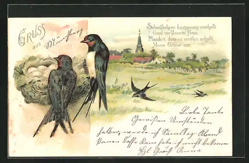 Lithographie Vögel mit Ortsansicht im Hintergrund, Vögel bei ihrem Nest mit Eiern