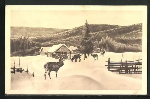 AK Jagdeinladung, Hirsch im Schnee bei einer Hütte